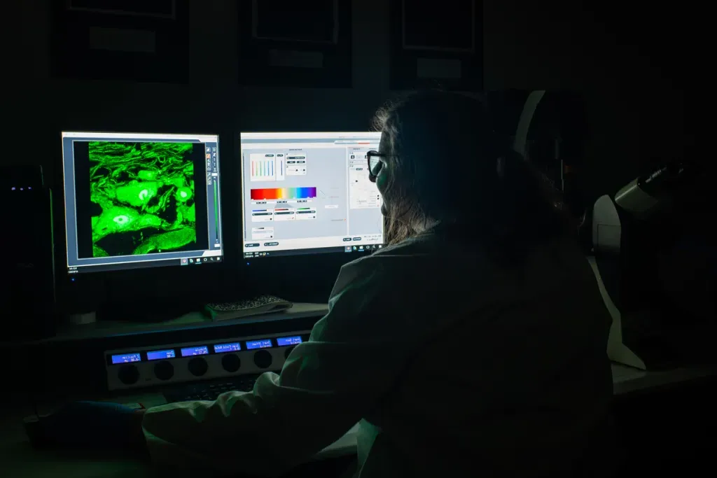 A student reviews a microscopic image of neurons on a computer screen