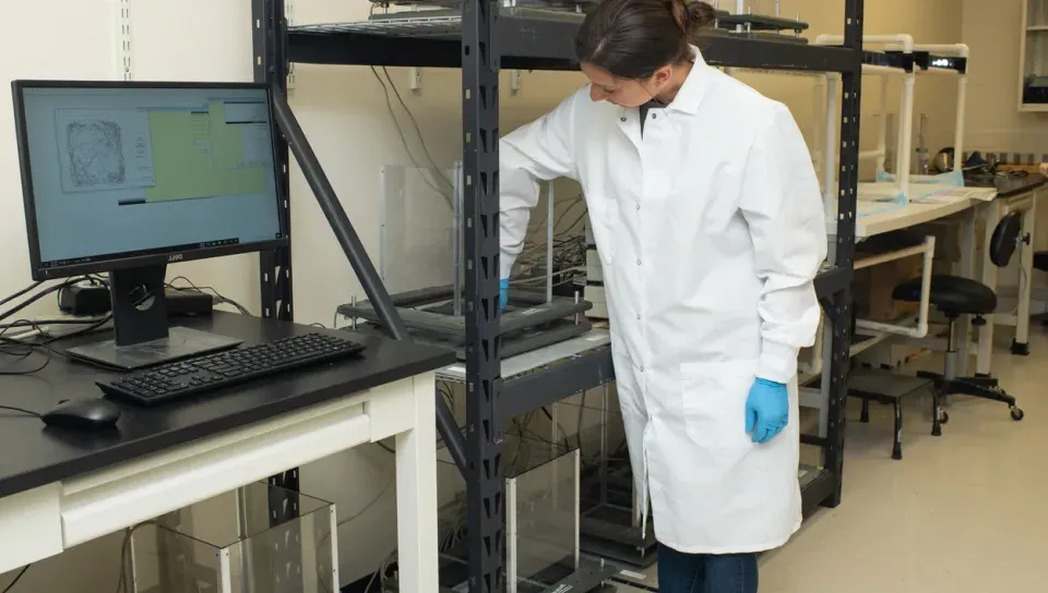 A student in a white lab coat working in a C O B R E lab