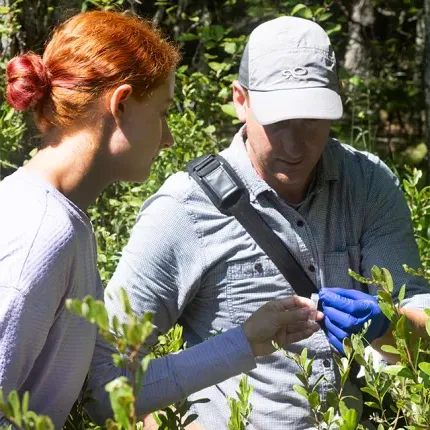 In the bog, Zach Olson places a sample into a test tube that Maya Gilpren holds.